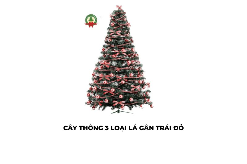 Báo giá cây thông noel 2024 tpHCM