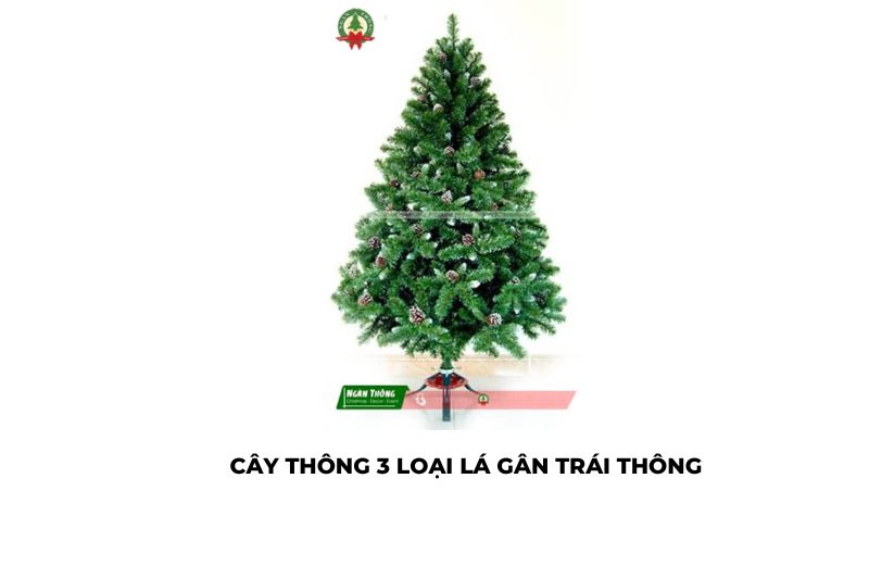 Báo giá cây thông noel 2024 tpHCM