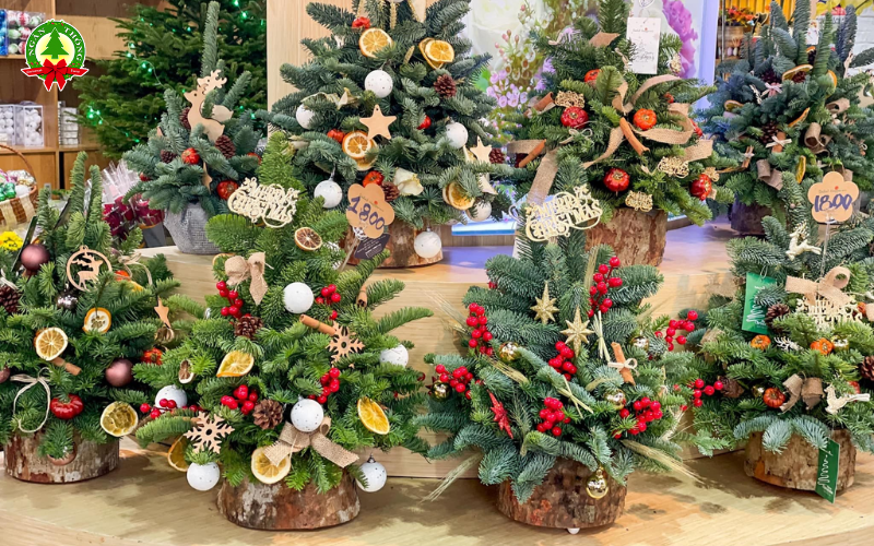 Top 10 Phụ Kiện Trang Trí Noel Đẹp Và Ý Nghĩa Mùa Giáng Sinh