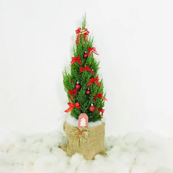 Cây thông noel để bàn