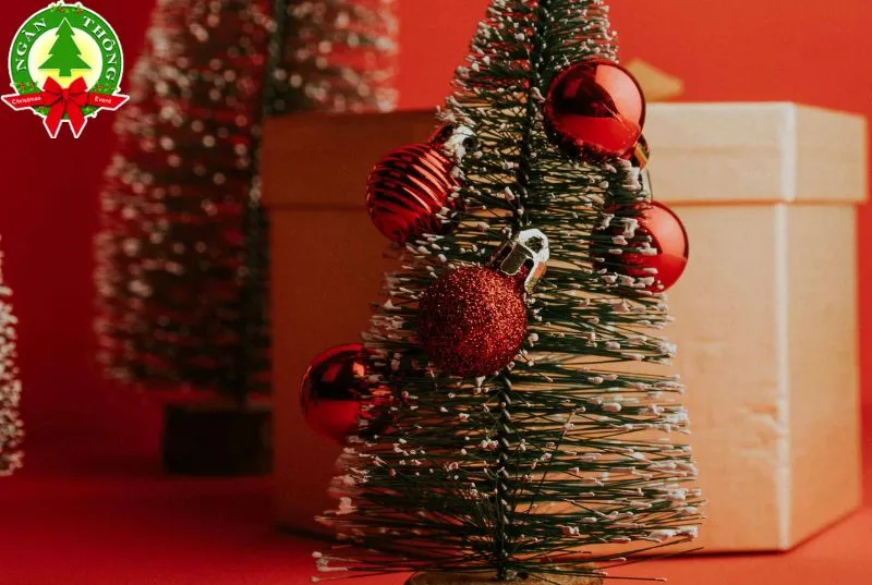 cho-ban-cay-thong-noel