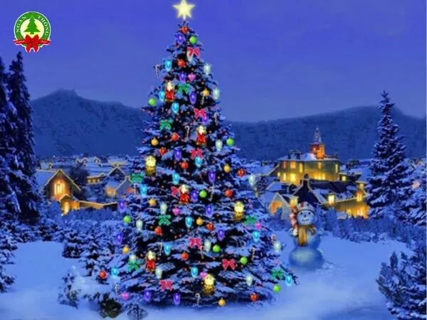 Ý nghĩa của ngôi sao trên cây thông noel