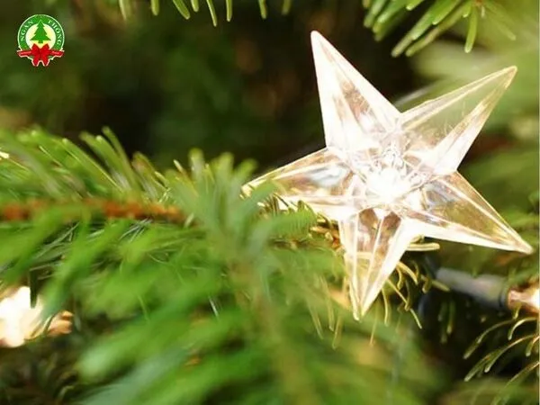 ý nghĩa của ngôi sao trên cây thông noel