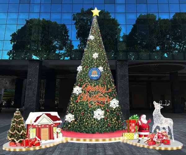 Cây thông noel ngoài trời
