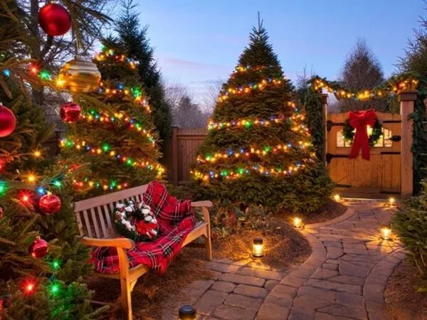 Cây thông noel ngoài trời