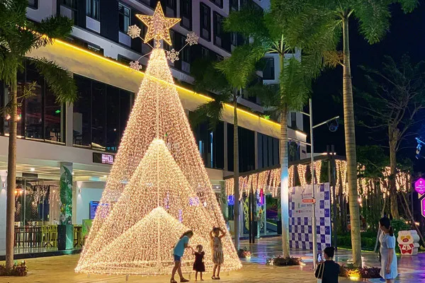 Cây thông noel ngoài trời