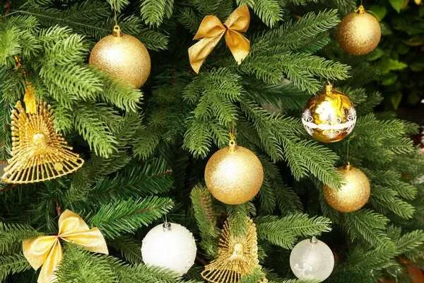 Cây thông noel nhựa PE